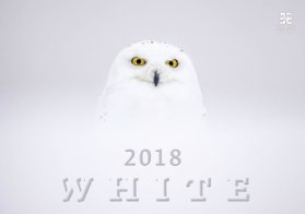 Kalendář nástěnný 2018 - White/Exclusive