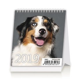 Kalendář stolní 2019 - Mini Puppies
