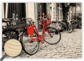 Obraz dřevěný: Bicycle, 485x340