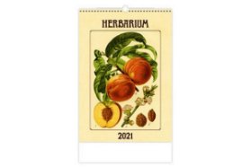 Kalendář 2021 - Herbarium - nástěnný