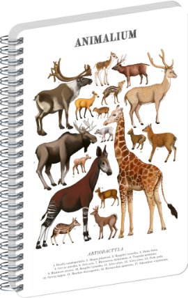 Spirálový blok Animalium - Sudokopytníci, čistý, A4