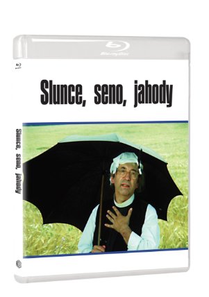 Slunce, seno, jahody BD