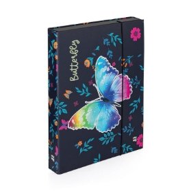 Box na sešity A4 Jumbo - Motýl 2