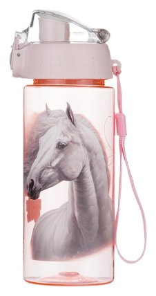 Láhev OXY CLiCK 500 ml kůň romantic