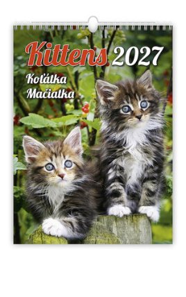 Koťátka 2027 - nástěnný kalendář