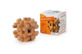 Recenttoys Hlavolam: Brain Puzzle 5 - Mozeček
