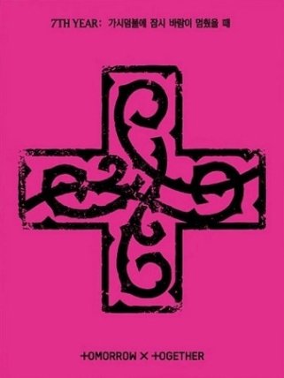 QR Tomorrow X Together - A Moment Of Stillness In The Thorns