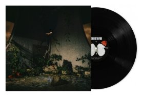 LP THE PLOT IN YOU