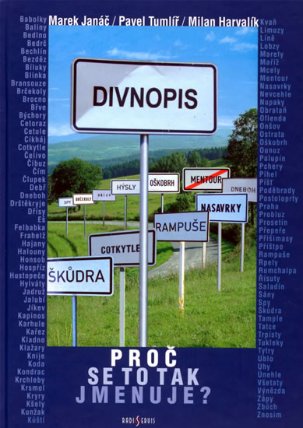 Divnopis