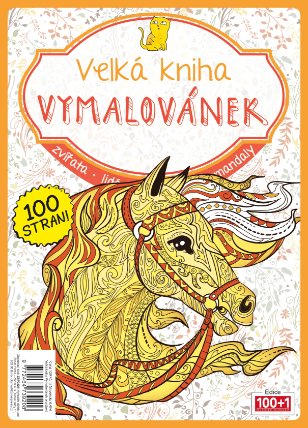 Velká kniha vymalovánek - oranžová