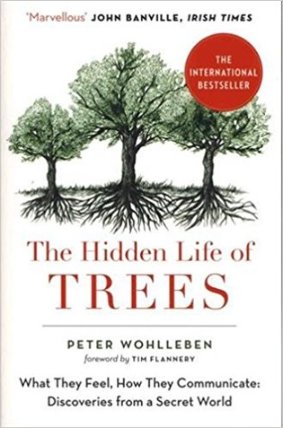 The Hidden Life of Trees