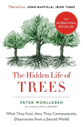 The Hidden Life of Trees