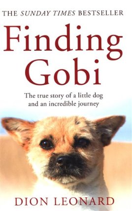 Finding Gobi