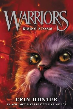 Warriors 4 : Rising Storm