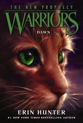 Warriors Power of Three 3: Outcast