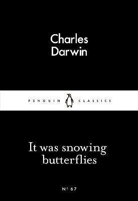 It Was Snowing Butterflies (Little Black Classics)