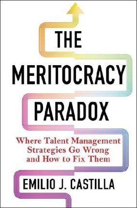 The Meritocracy Paradox