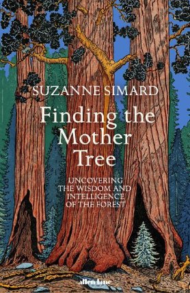 Finding the Mother Tree: Uncovering the Wisdom and Intelligence of the Forest