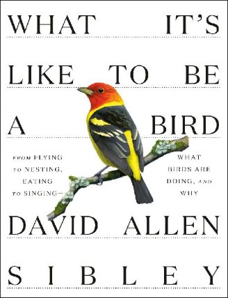 What It´s Like to Be a Bird