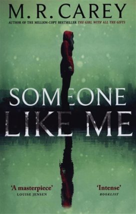 Someone Like Me