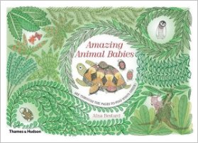 Amazing Animal Babies