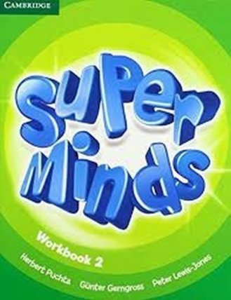 Super Minds 2 Workbook