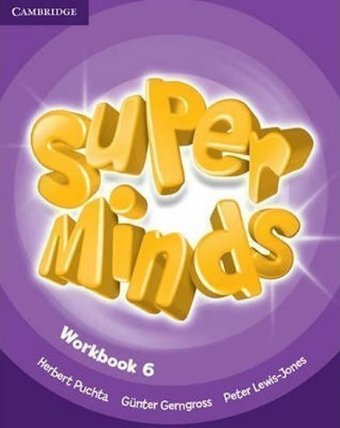 Super Minds 6 Workbook