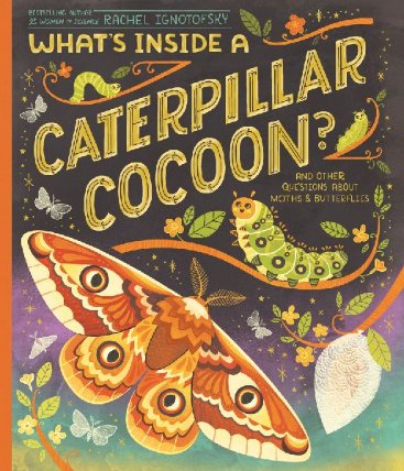 What´s Inside a Caterpillar Cocoon?