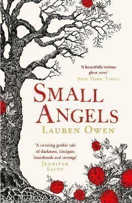 Small Angels: ´A twisting gothic tale of darkness, intrigue, heartbreak and revenge´ Jenni