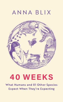 40 Weeks