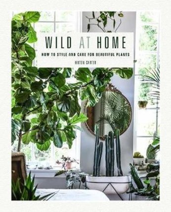 Wild at Home: How to style and care for beautiful plants