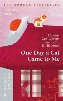 One Day a Cat Came to Me