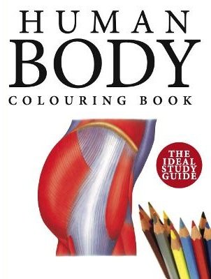 Human Body Colouring Book
