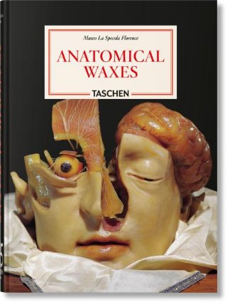 Anatomical Waxes 45th Ed.