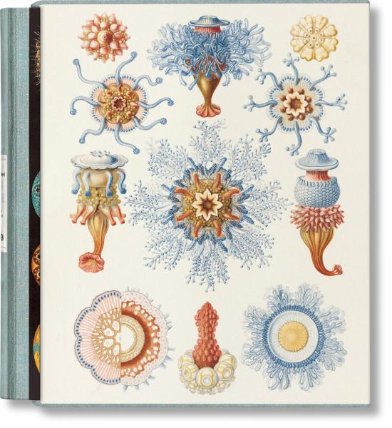 cl-Art and Science of Ernst Haeckel