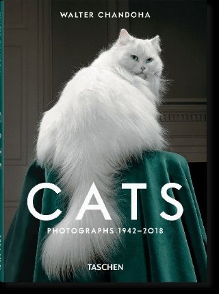 Walter Chandoha. Cats. Photographs 1942–2018