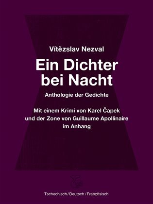 Ein Dichter bei Nacht