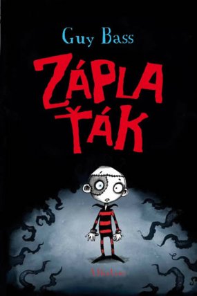 Záplaťák