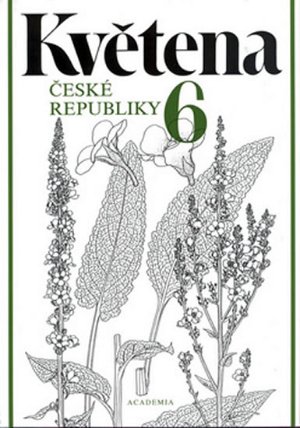 Květena 6