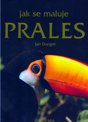 Jak se maluje prales