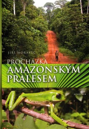 Procházka amazonským pralesem