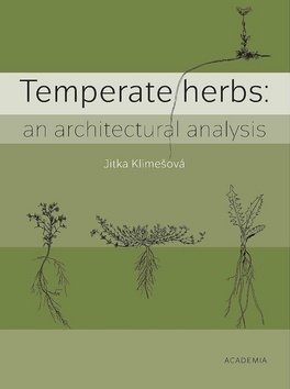 Temperate herbs