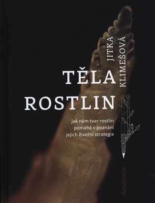 Těla rostlin