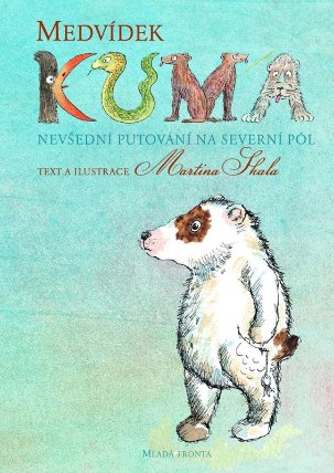 Medvídek Kuma 