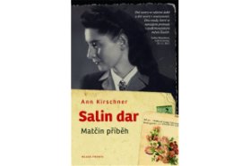 Salin dar
