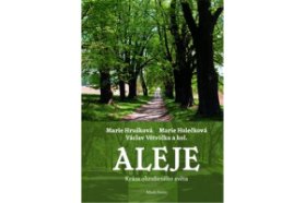 Aleje