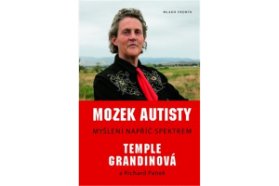 Mozek autisty