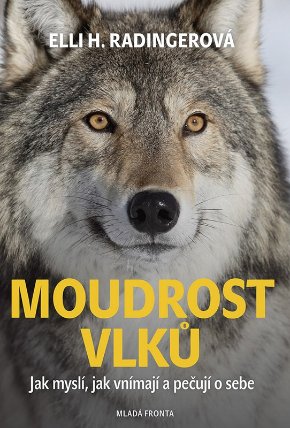 Moudrost vlků