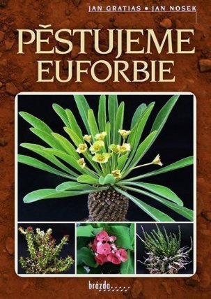 Pěstujeme euforbie 