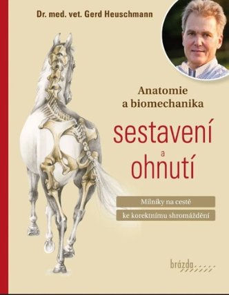 Anatomie a biomechanika sestavení a ohnutí - Milníky na cestě ke korektnímu shromáždění